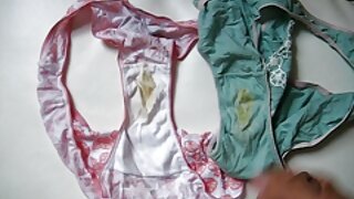 A voraz gata de cabe ...